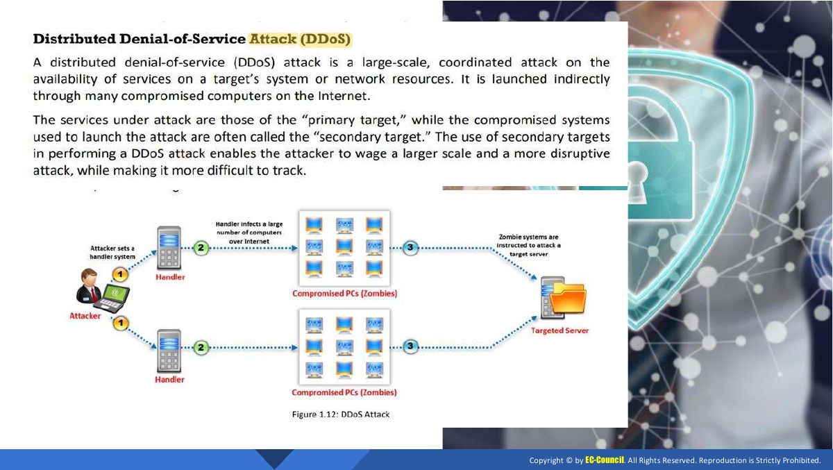 Slide 15: Slide 15