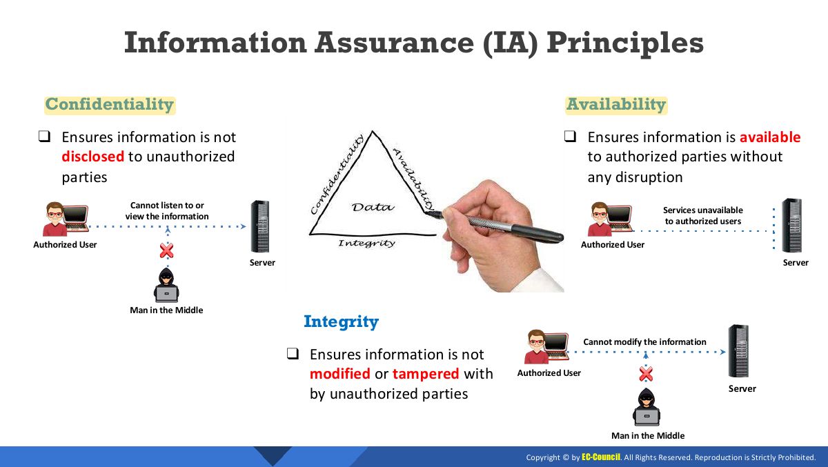 Slide 23: Information Assurance (IA) Principles