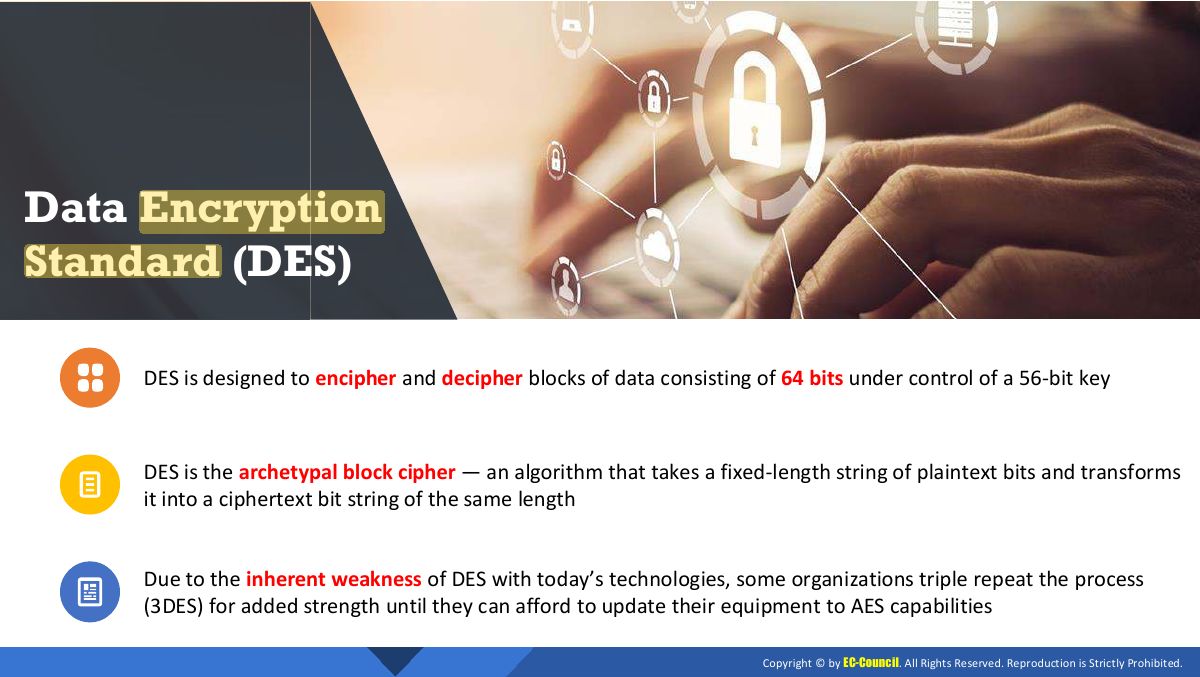 Slide 13: Slide 13