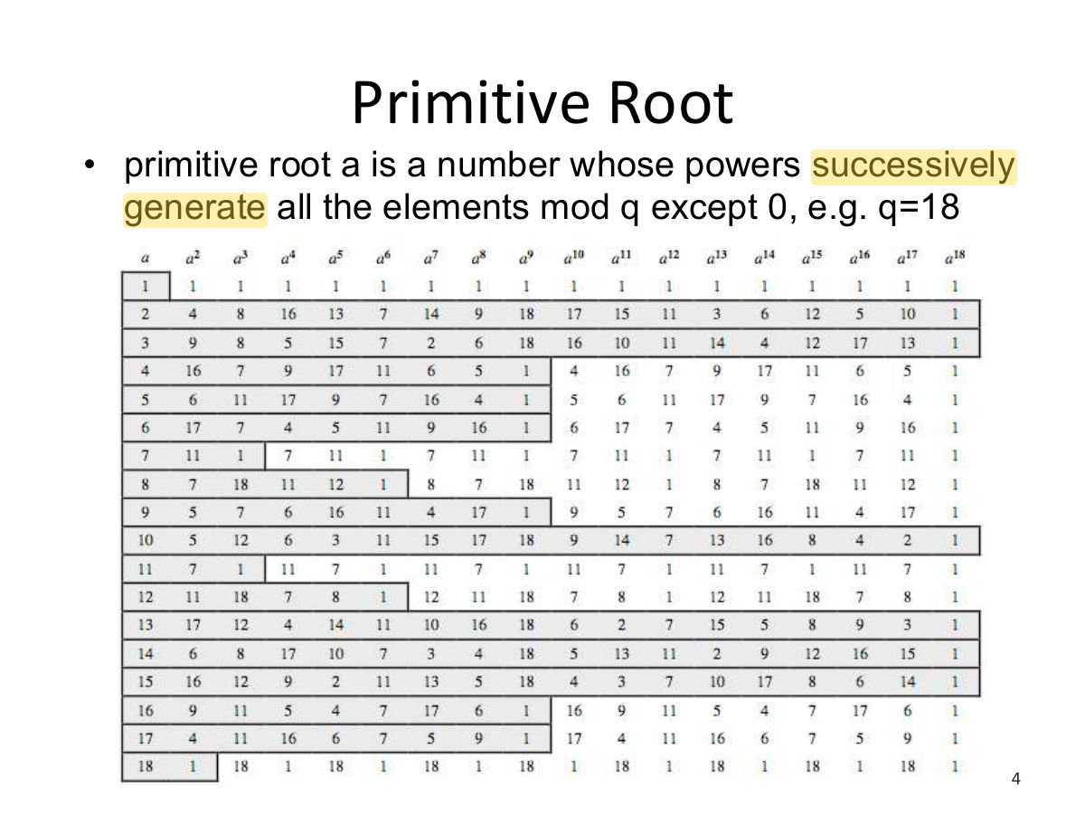 Slide 4: Primitive Root