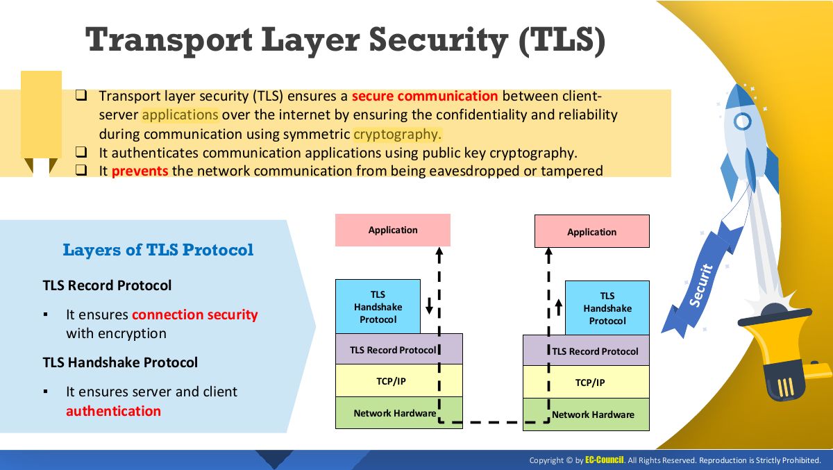 Slide 24: Transport Layer Security (TLS)