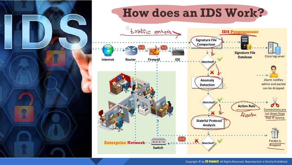 Slide 3: How does an IDS Work?