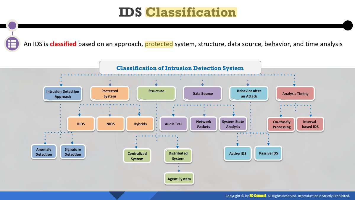 Slide 10: IDS Classification