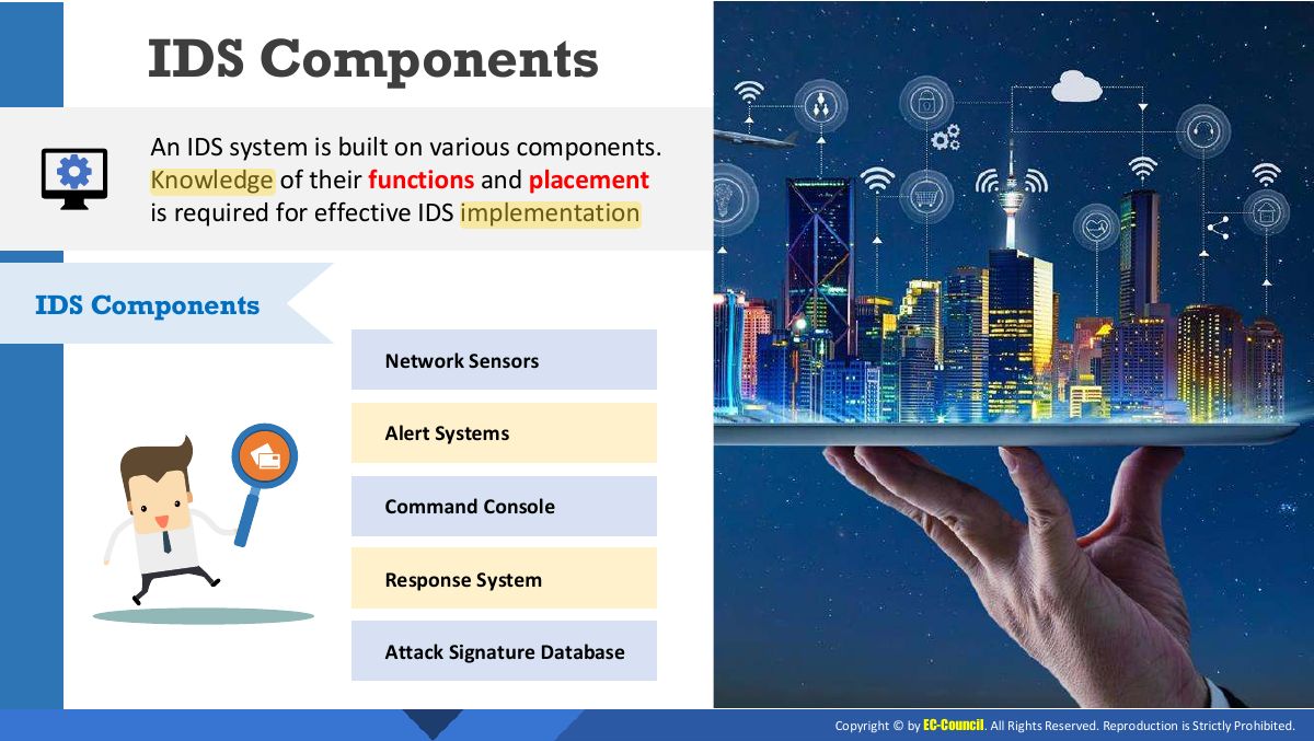 Slide 21: IDS Components
