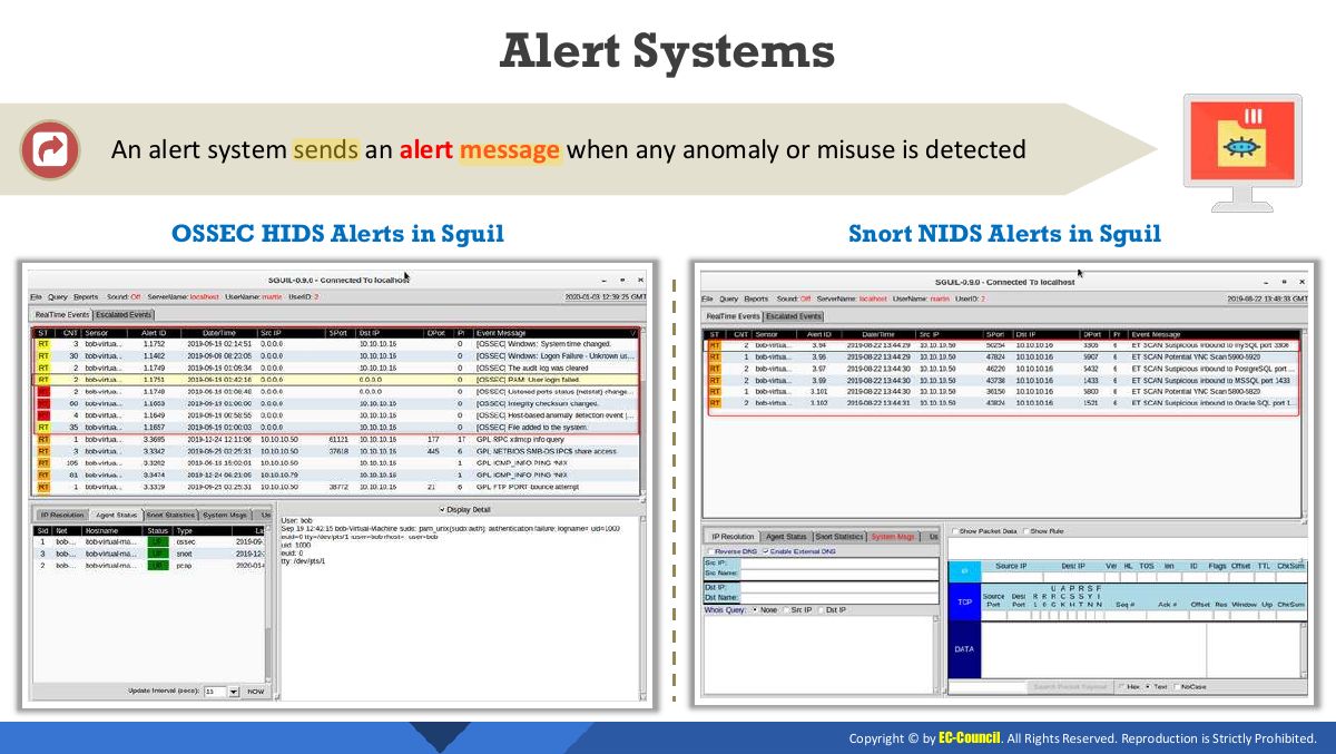 Slide 24: Alert Systems
