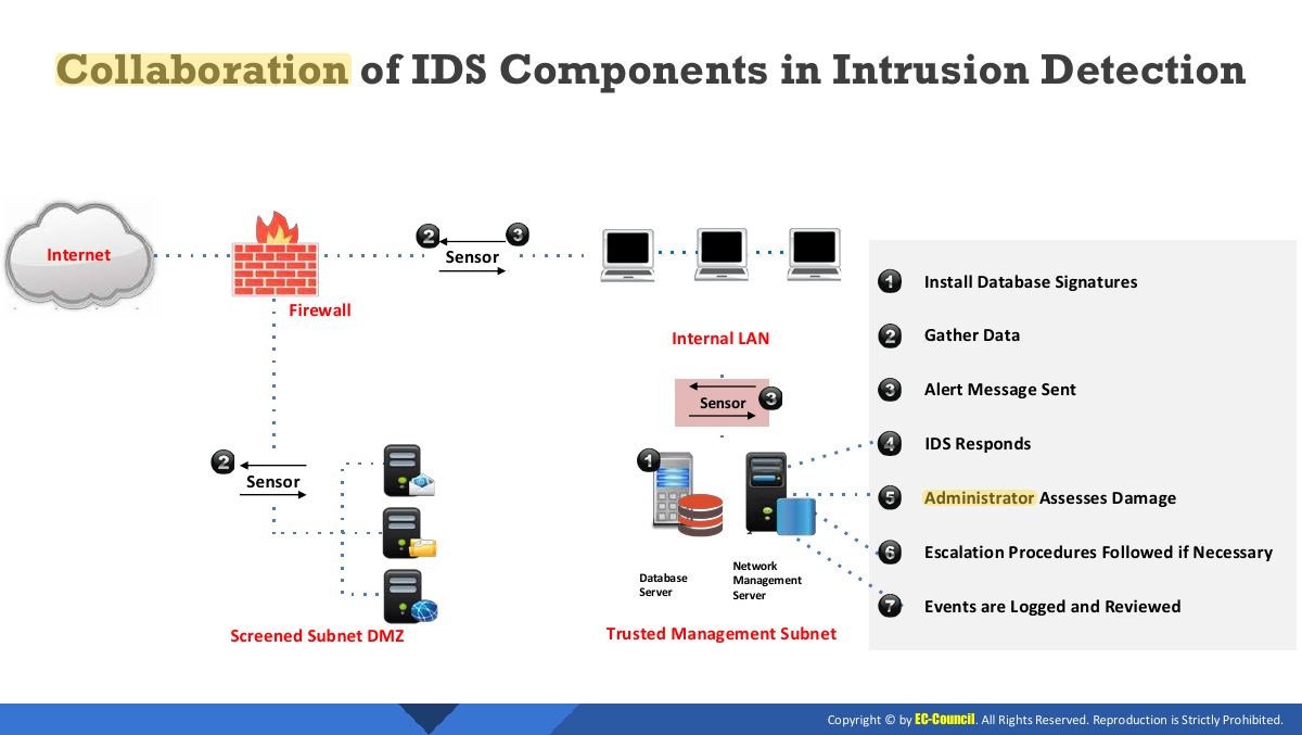 Slide 27: Collaboration of IDS Components in Intrusion Detection