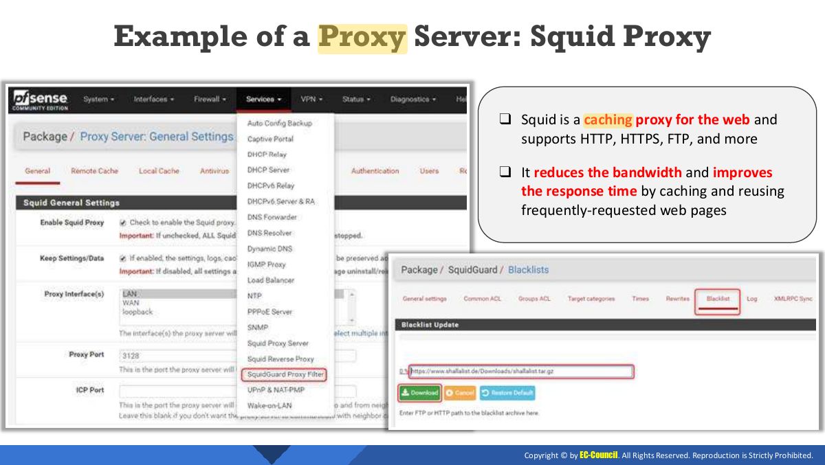 Slide 24: Example of a Proxy Server: Squid Proxy