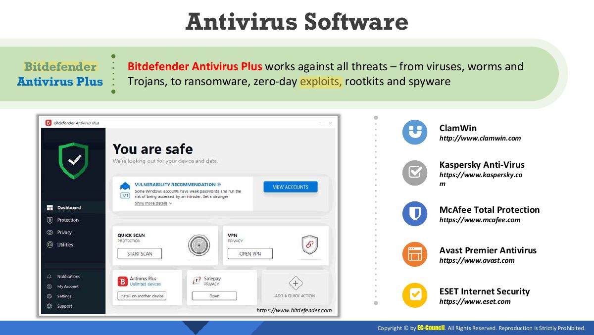 Slide 14: Antivirus Software