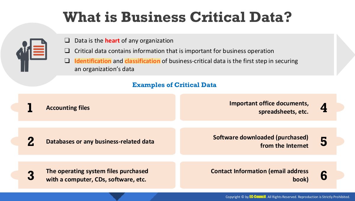 Slide 4: What is Business Critical Data?