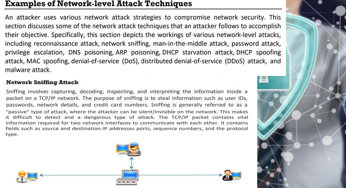 Examples of network-level attack techniques.