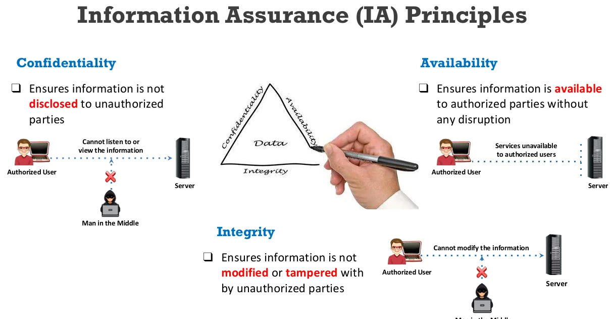 The information assurance (IA) principles.