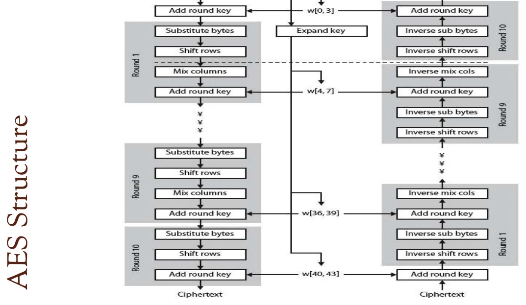 AES structure, in full.