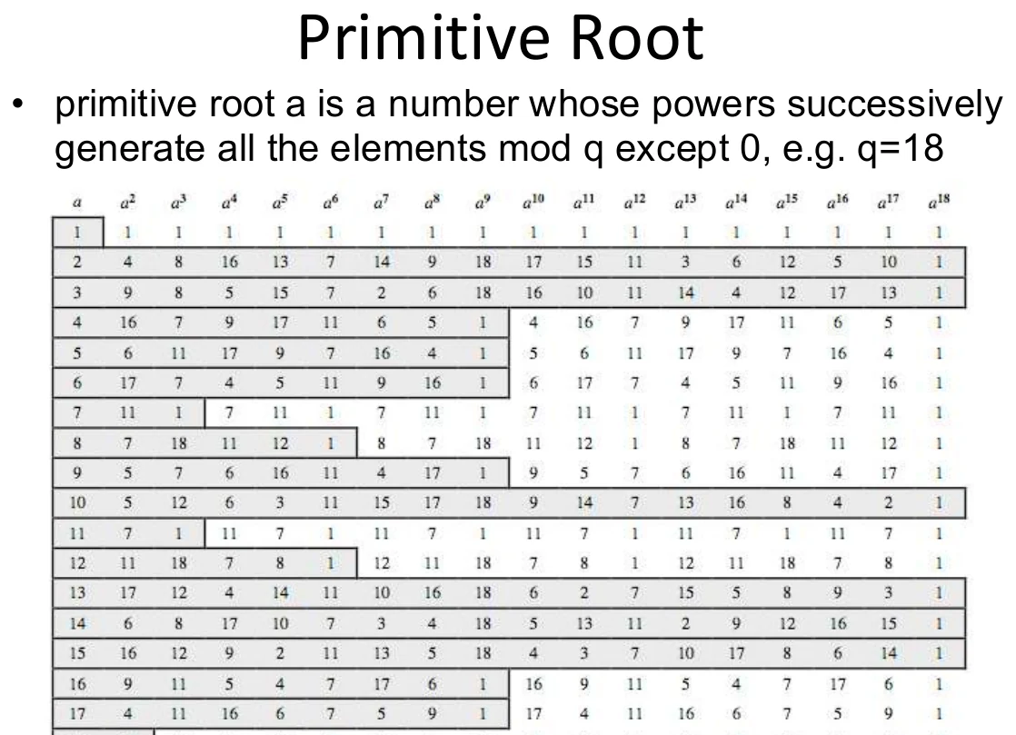 Primitive roots.