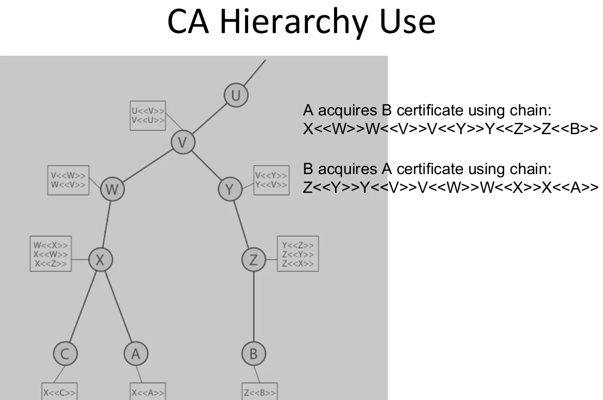 The CA hierarchy.