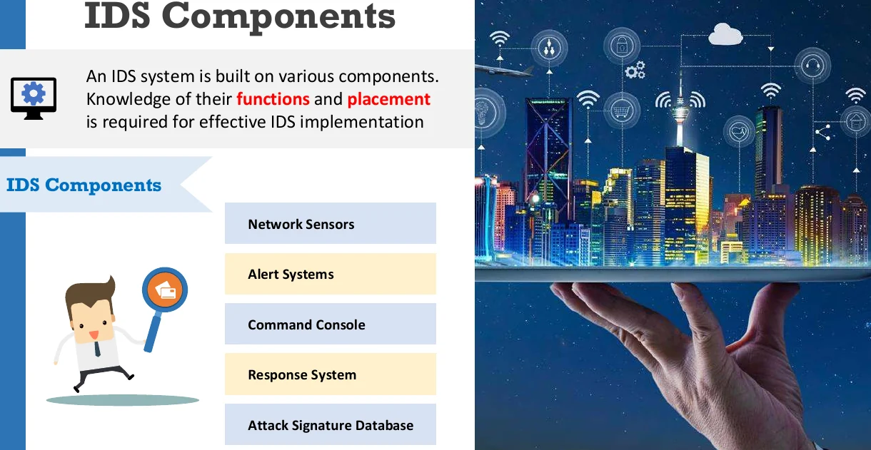 IDS components.