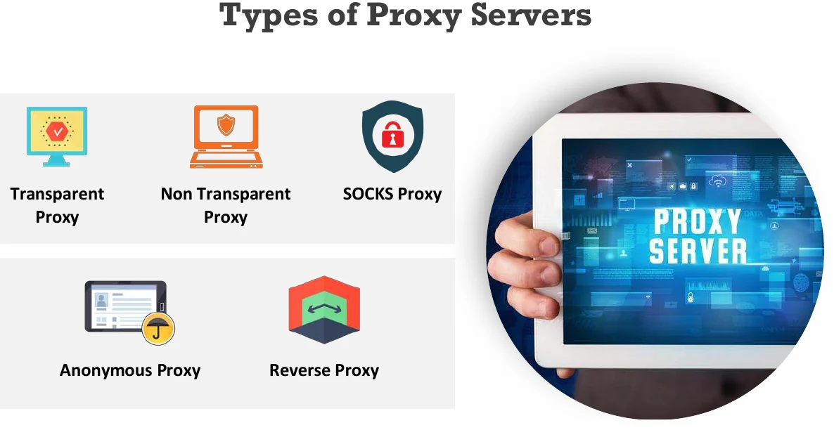 The types of proxy server.