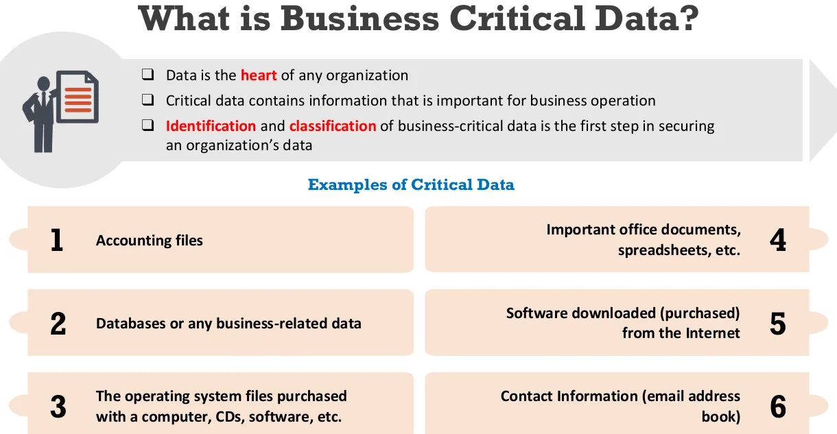 What business critical data is.