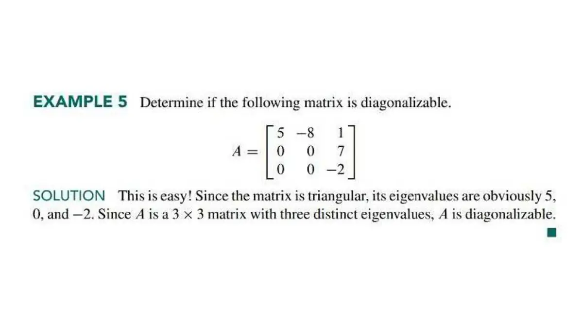 Slide 5: Slide 5