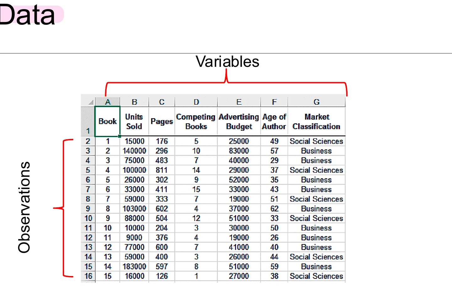 A data table: variables across the columns, observations down the rows.