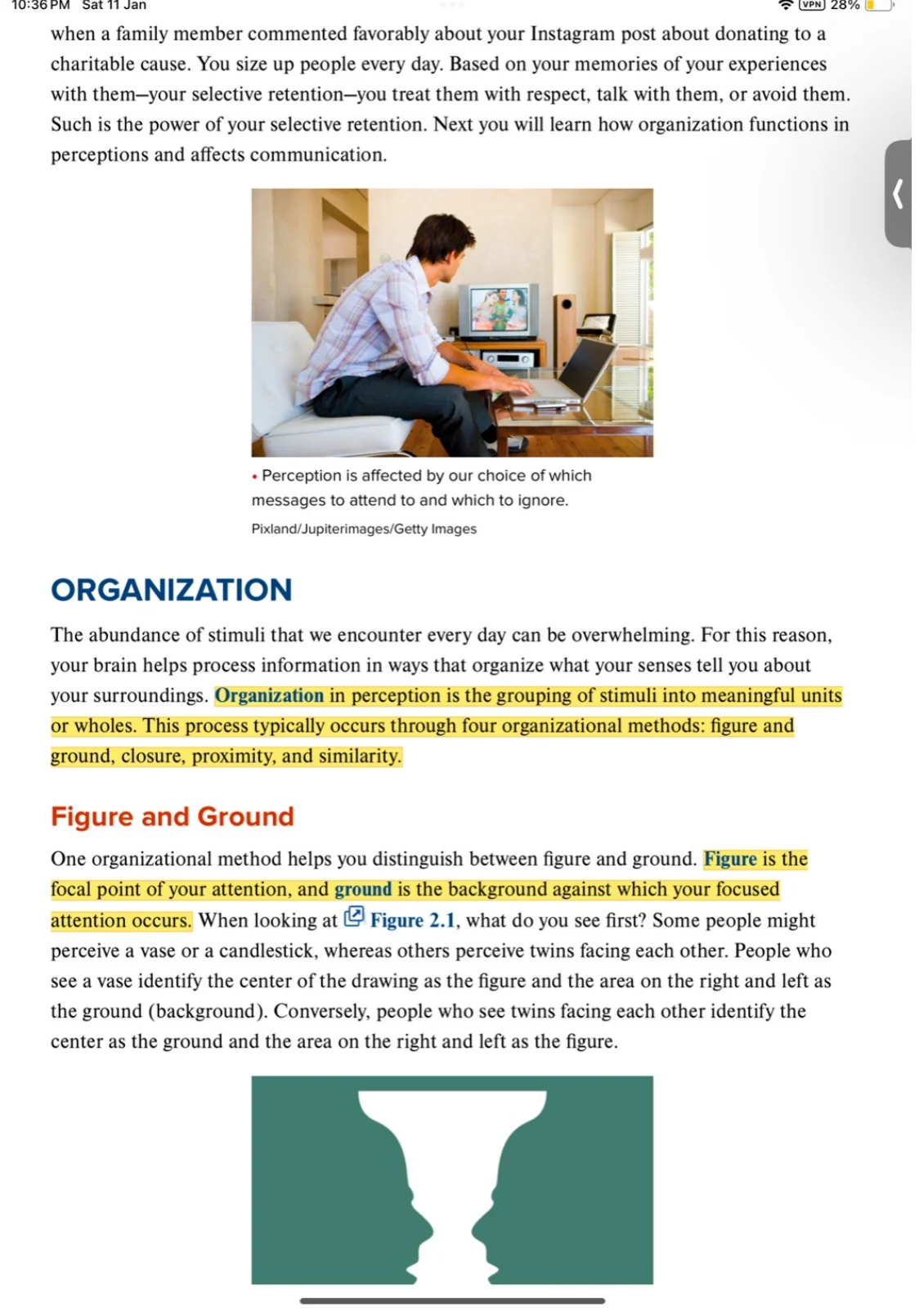 Organization in perception: figure and ground.
