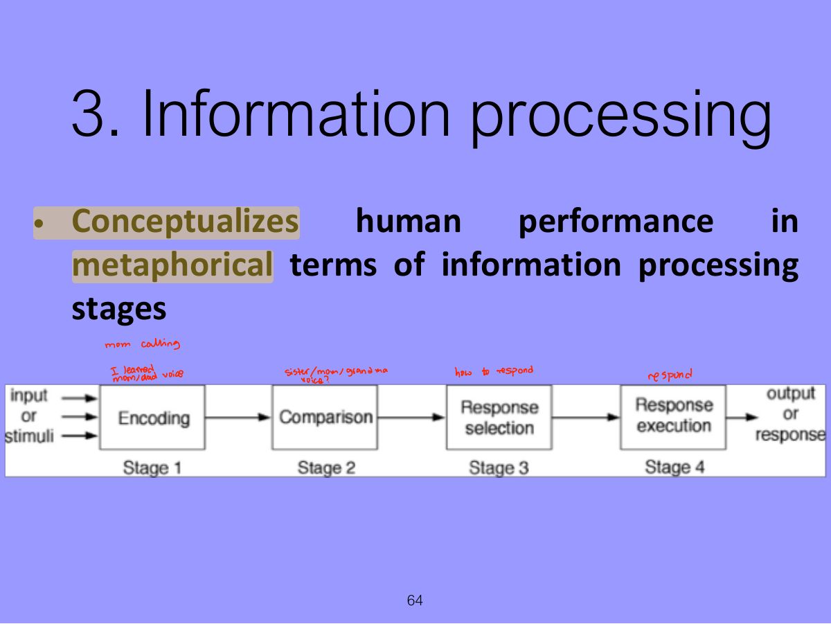 Slide 64: 3. Information processing
