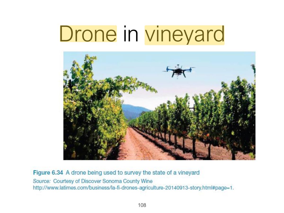 Slide 108: Drone in vineyard