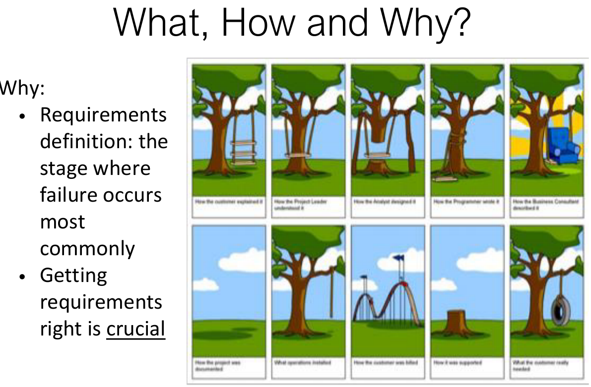 Why requirements matter: the tree swing cartoon.