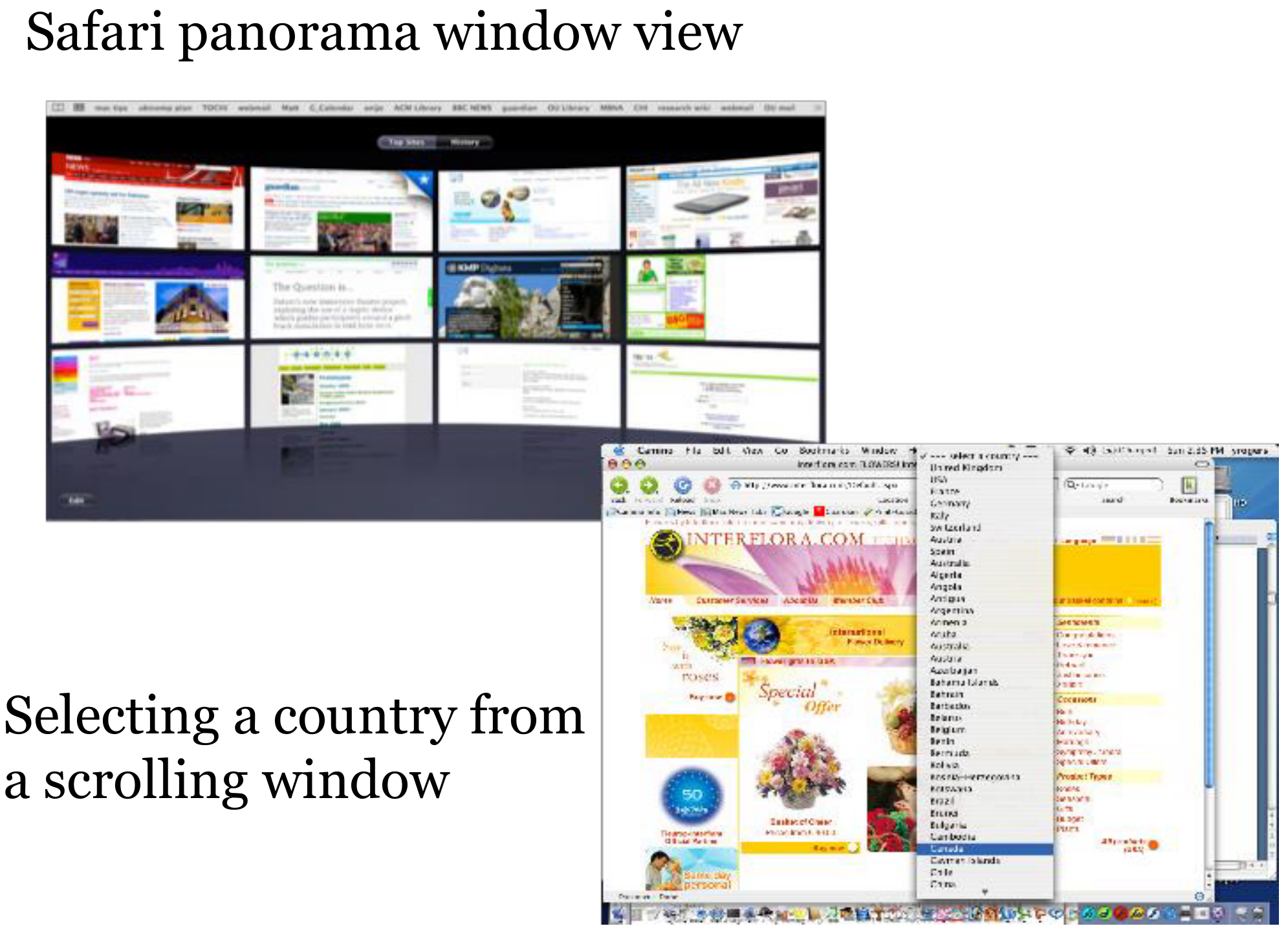 Safari's panorama window view.