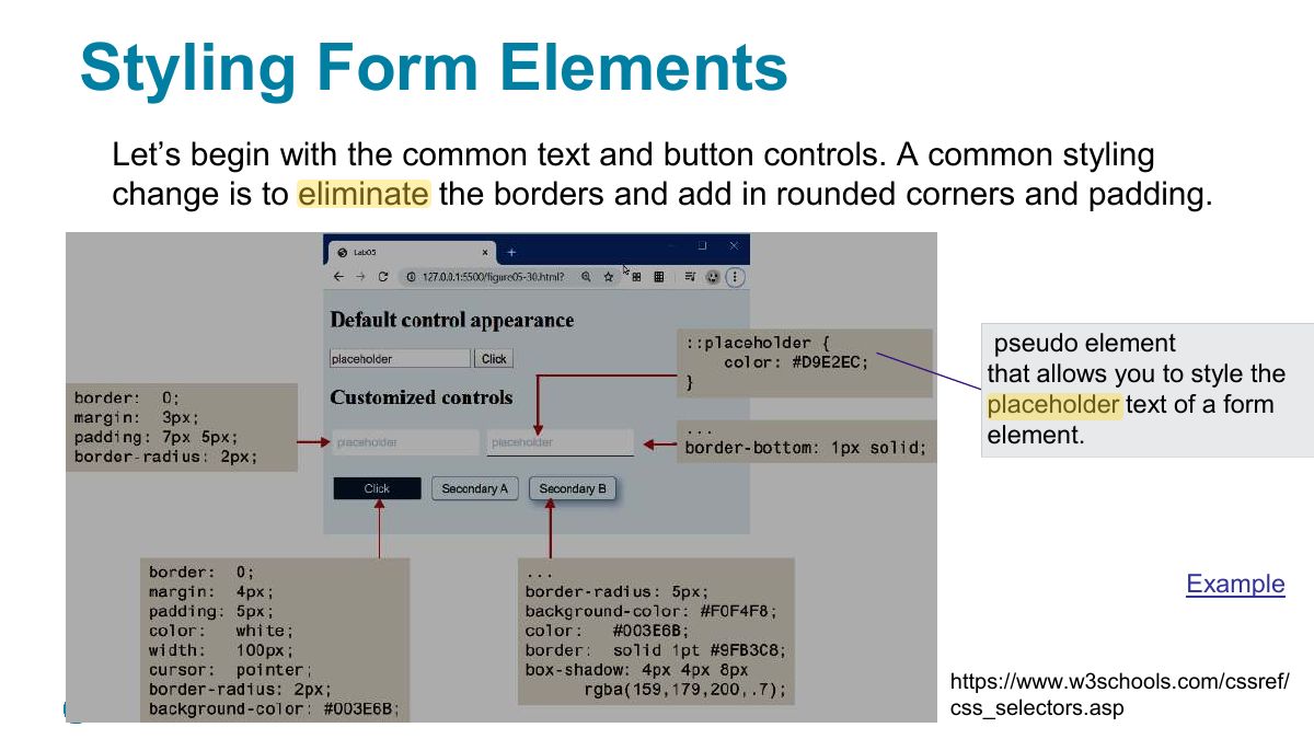 Slide 58: Styling Form Elements