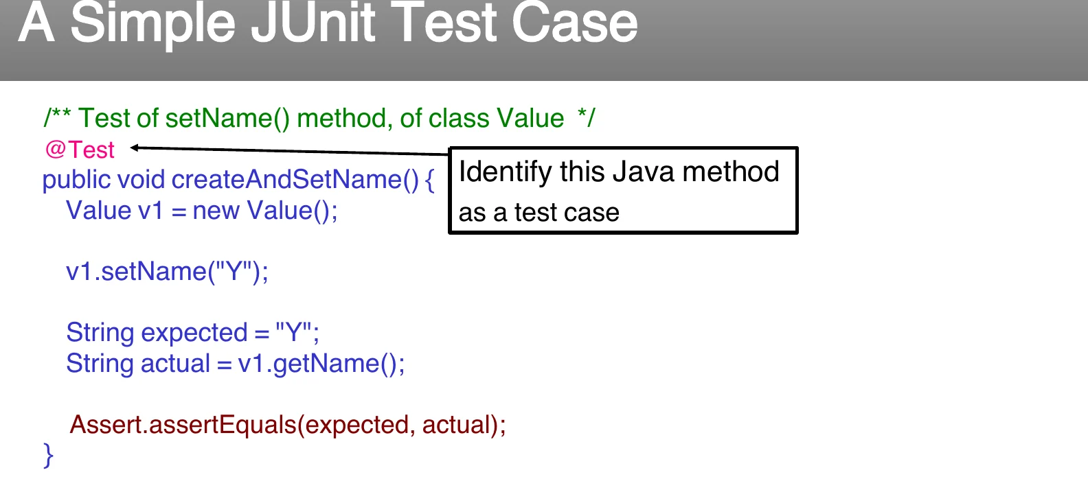 A simple JUnit test case.