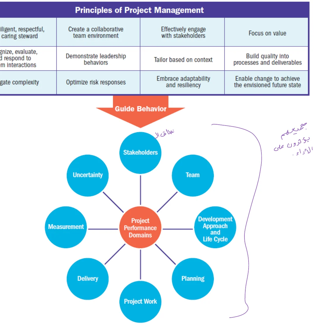 The 12 principles (top) guide behavior; below them the 8 performance domains sit in a wheel around “Project Performance Domains”