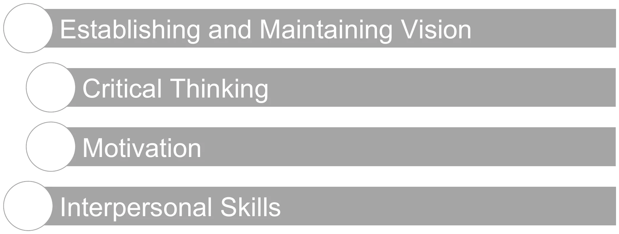Four leadership skills: establishing and maintaining vision, critical thinking, motivation, interpersonal skills