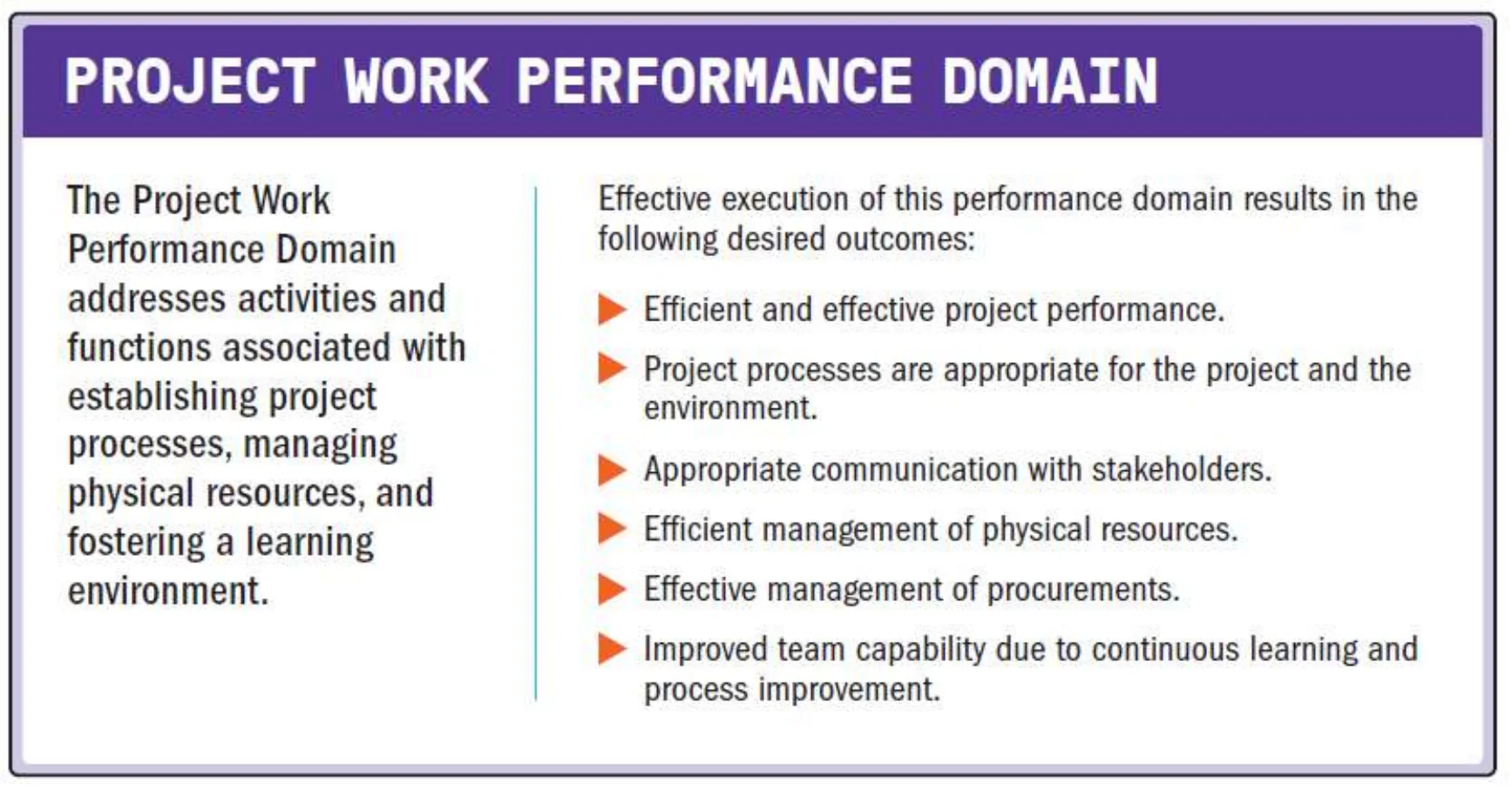 Project work performance domain card