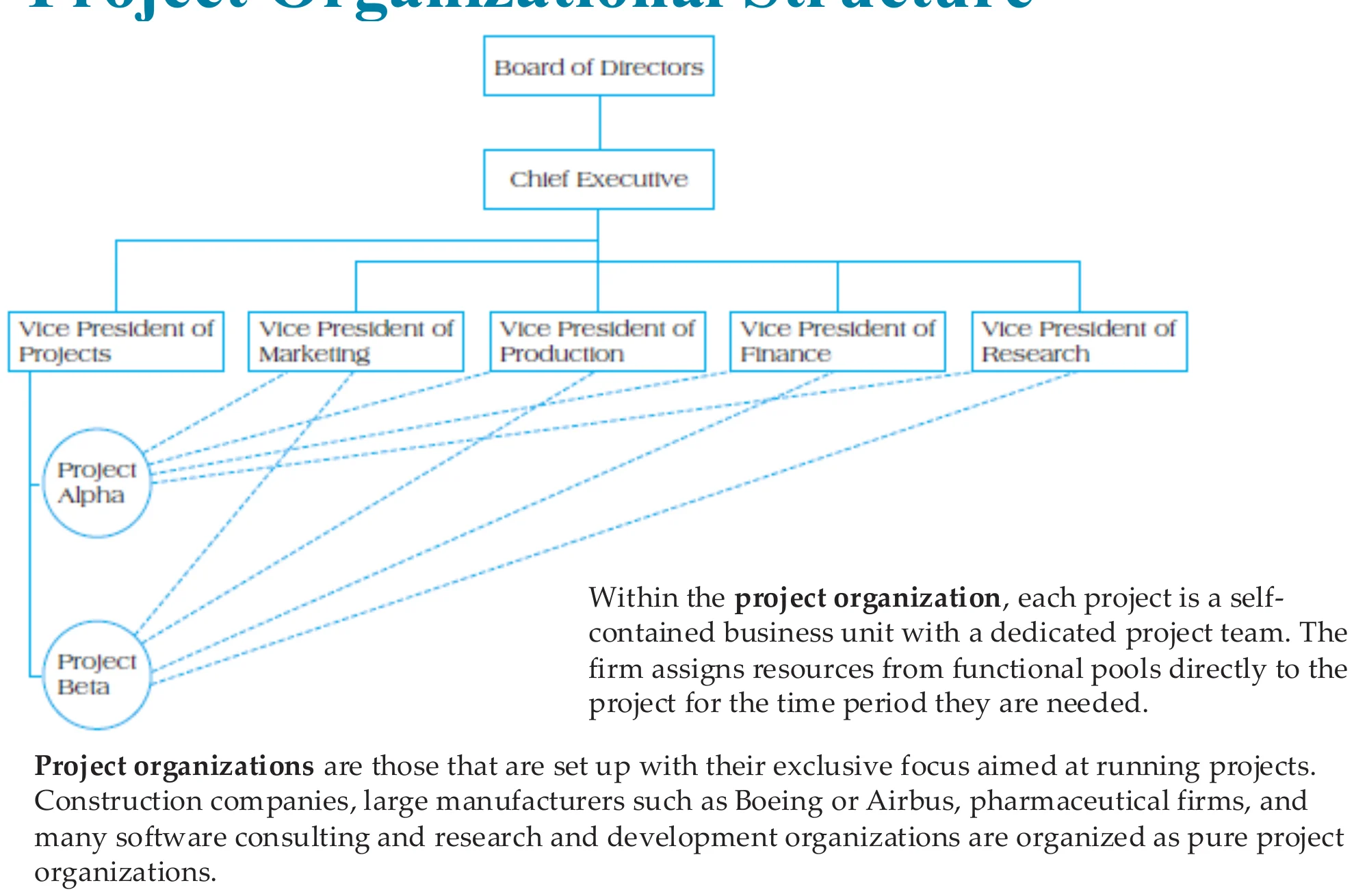 Project organizational structure: vice presidents linked to Project Alpha and Project Beta
