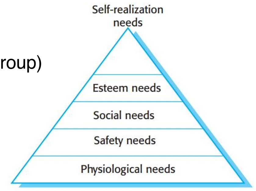 Maslow’s hierarchy: physiological, safety, social, esteem, self-realization