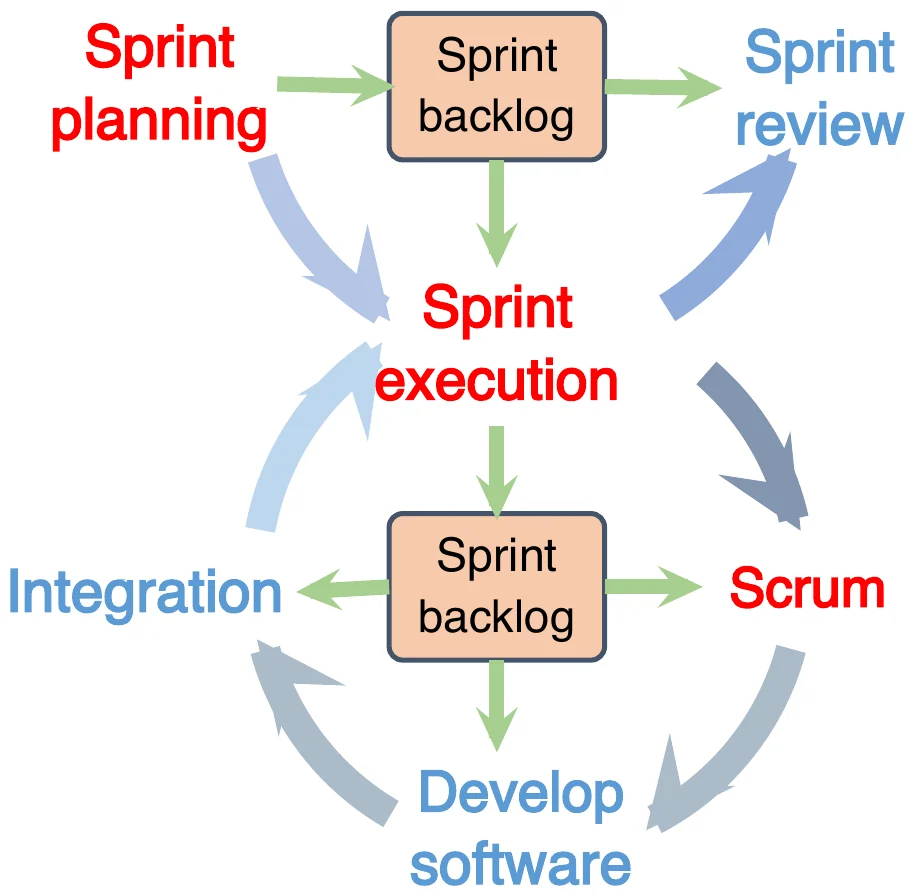 Sprint activities: planning, execution with daily scrum, integration, review