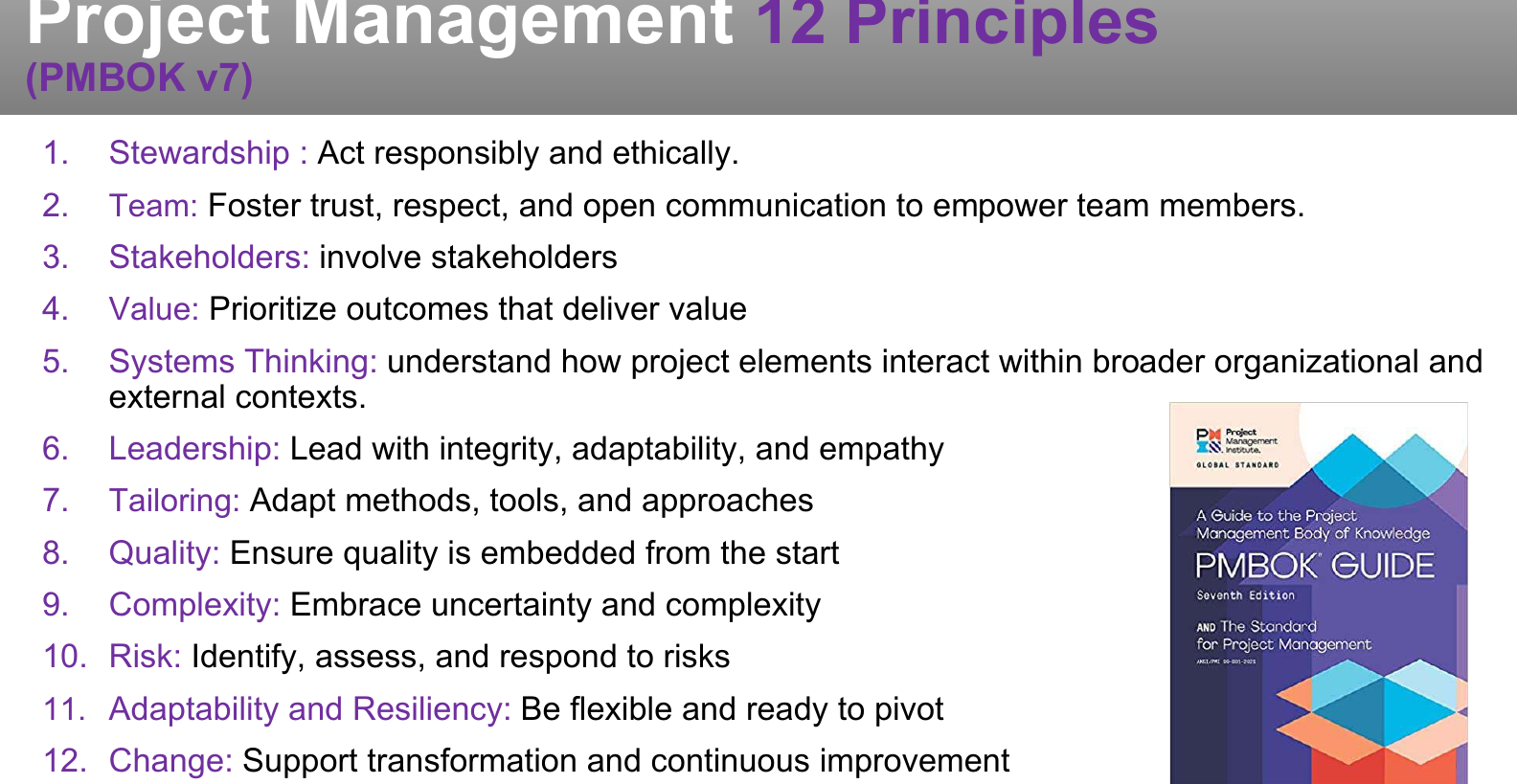 The twelve principles of PMBOK v7.