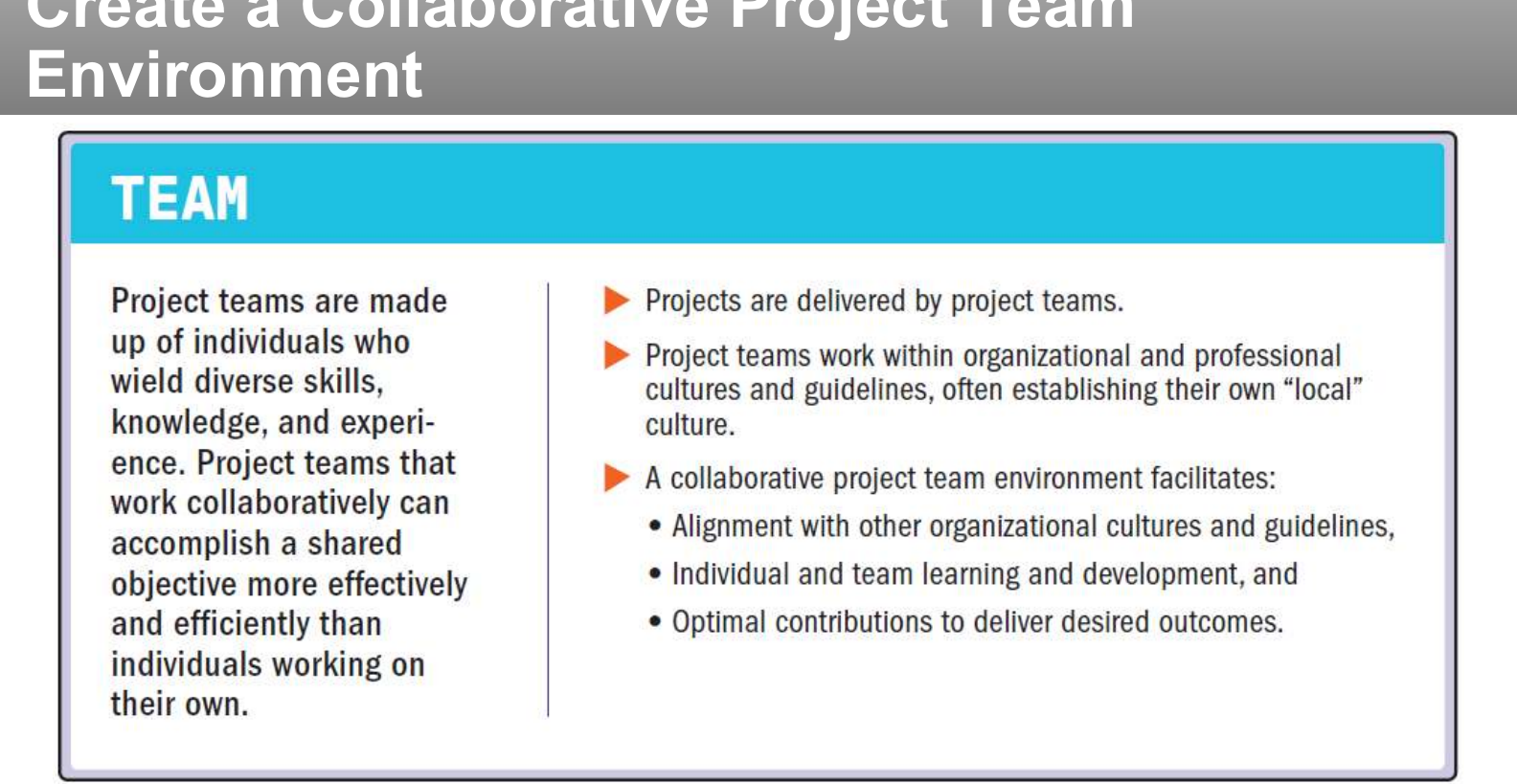 Principle: create a collaborative project team environment.