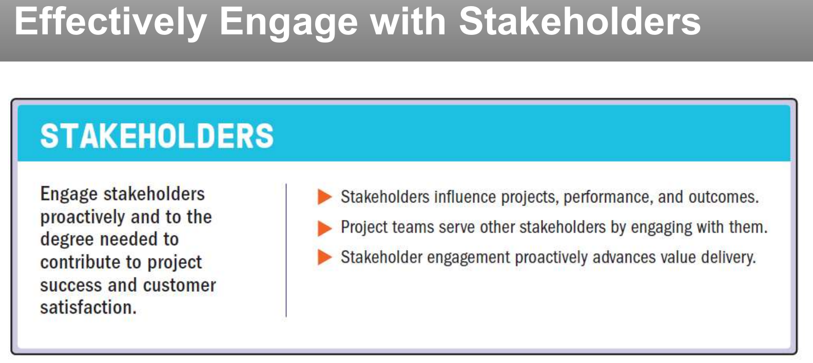 Principle: effectively engage with stakeholders.