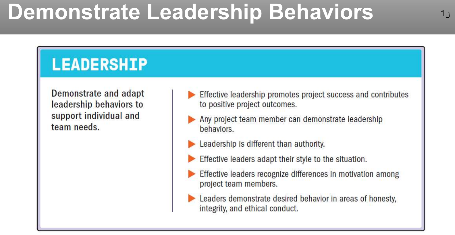 Principle: demonstrate leadership behaviors.
