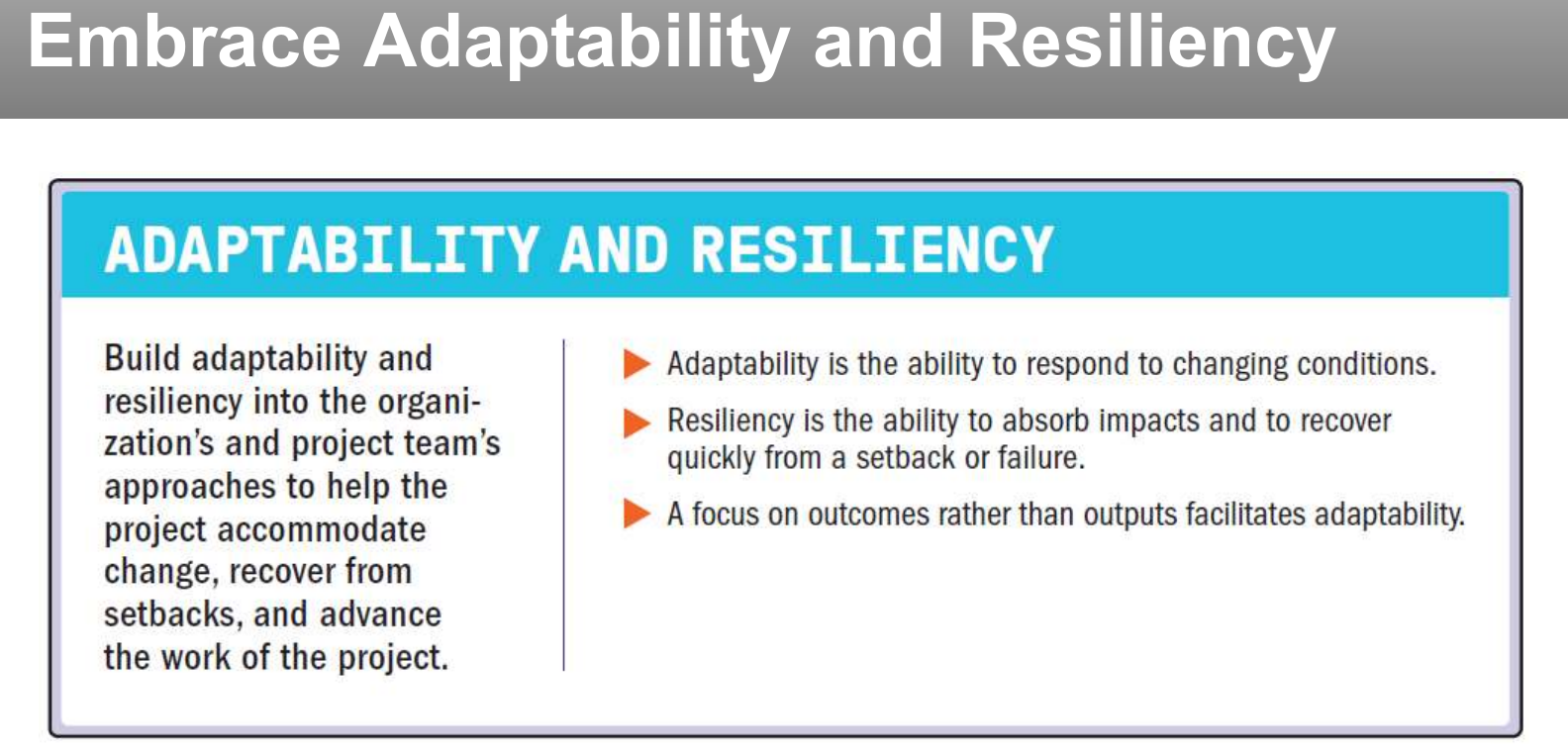 Principle: embrace adaptability and resiliency.