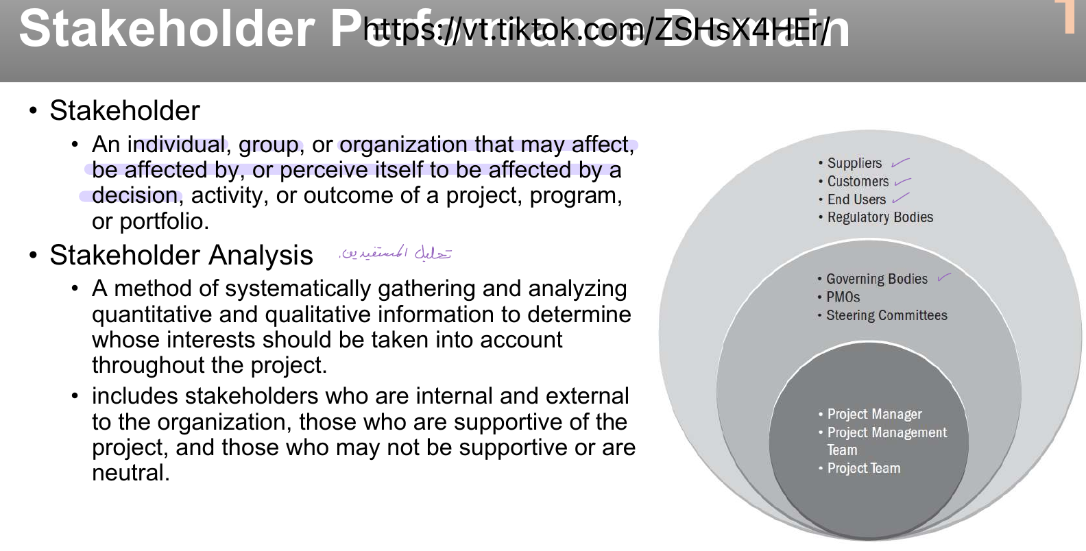 The stakeholder performance domain.