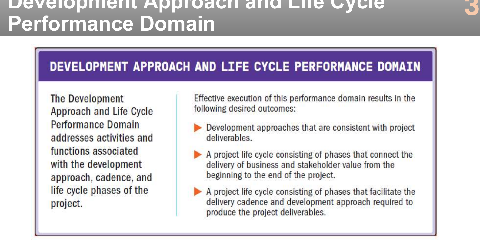The development approach and life cycle performance domain.