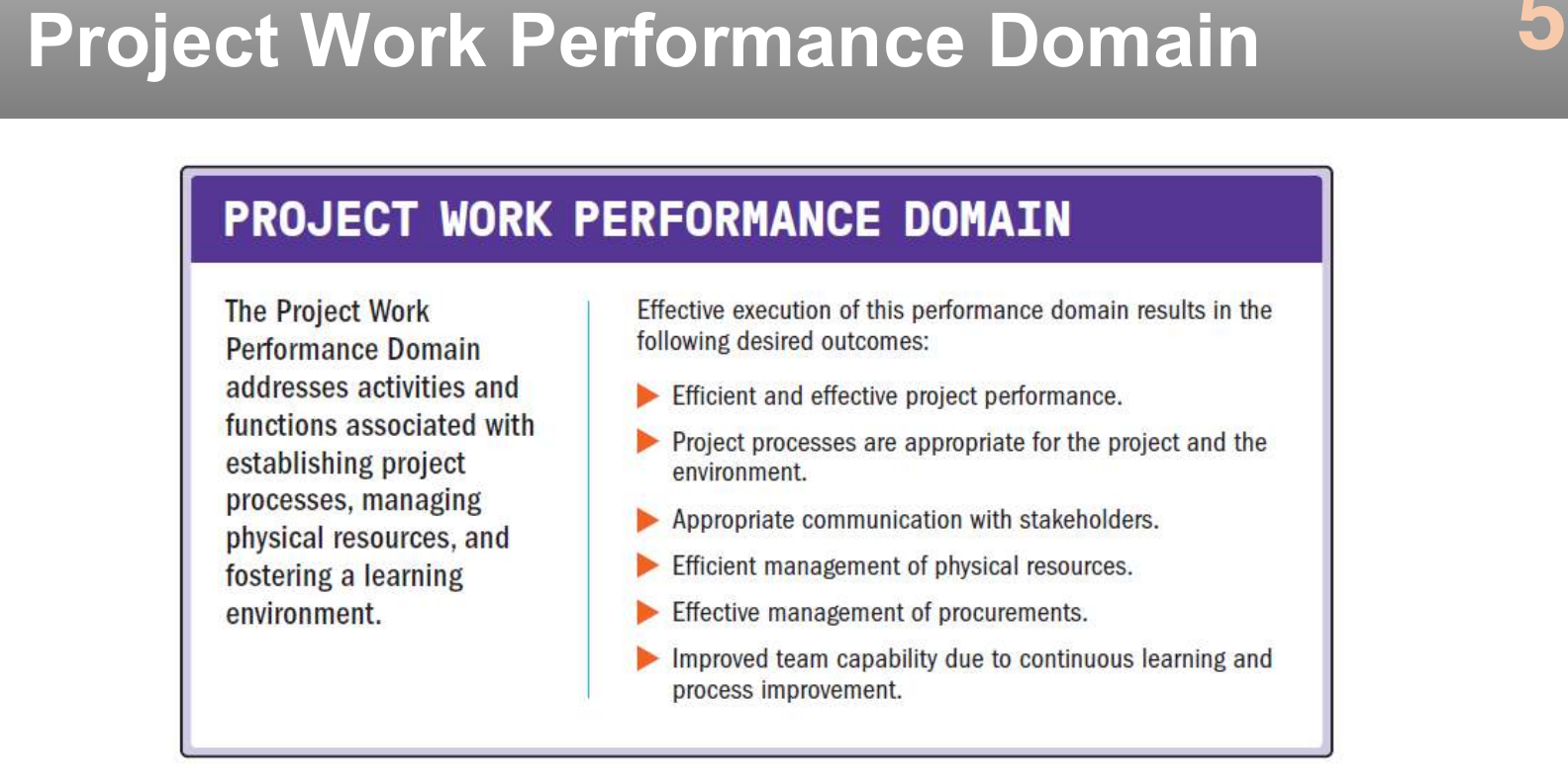 The project work performance domain.