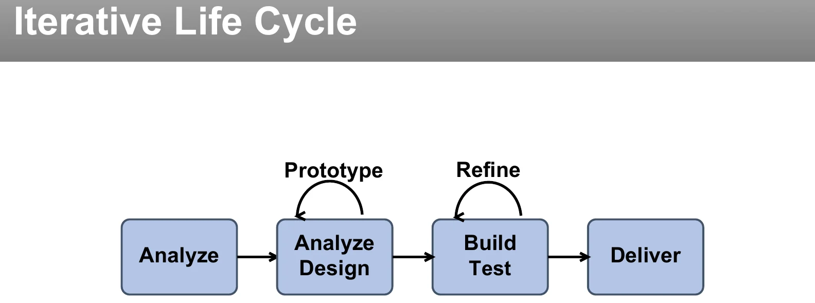 An iterative life cycle.