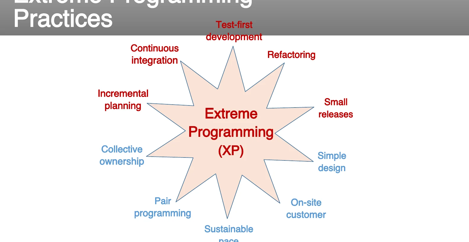 The Extreme Programming practices.