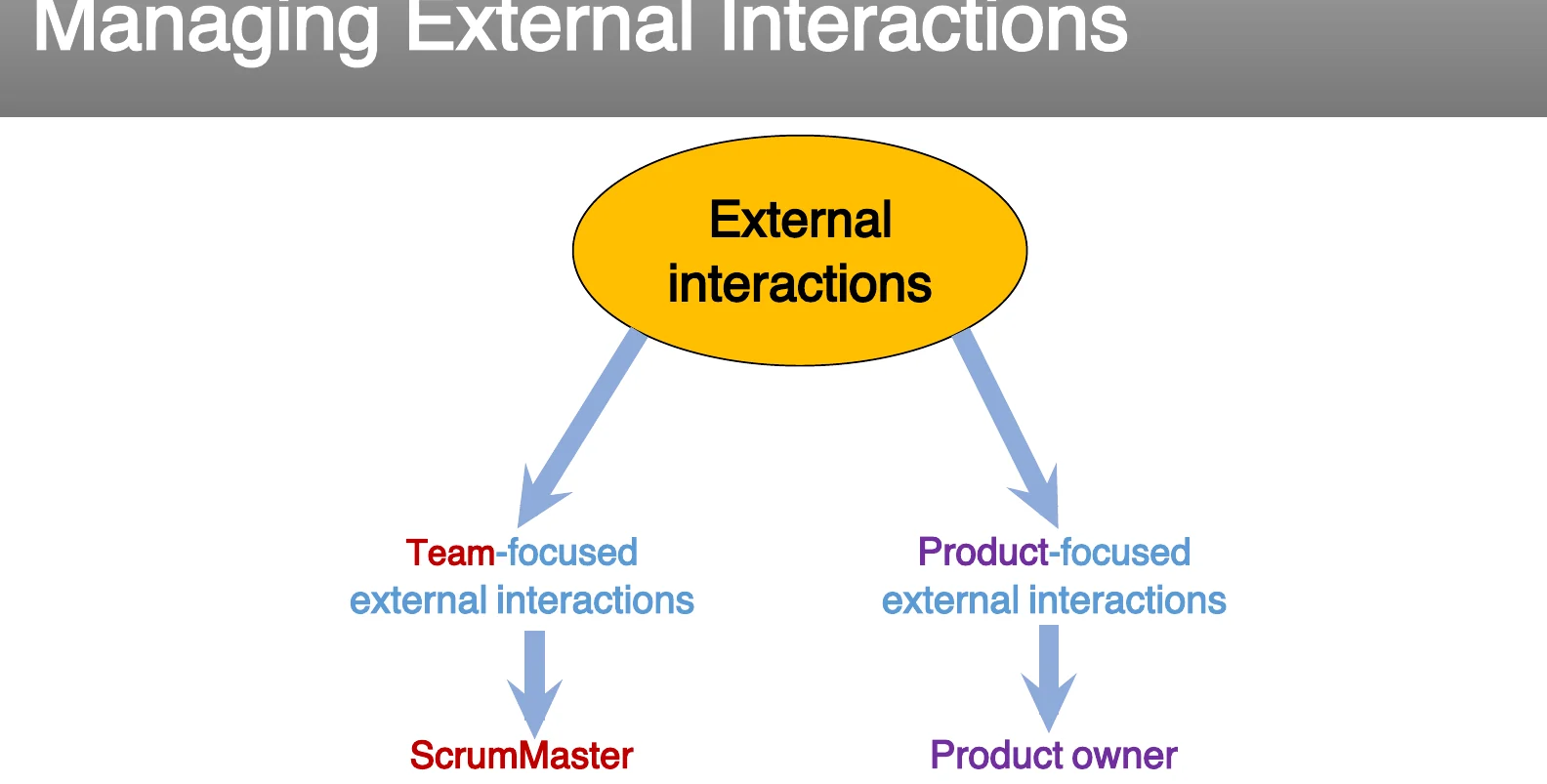 Managing external interactions around the team.