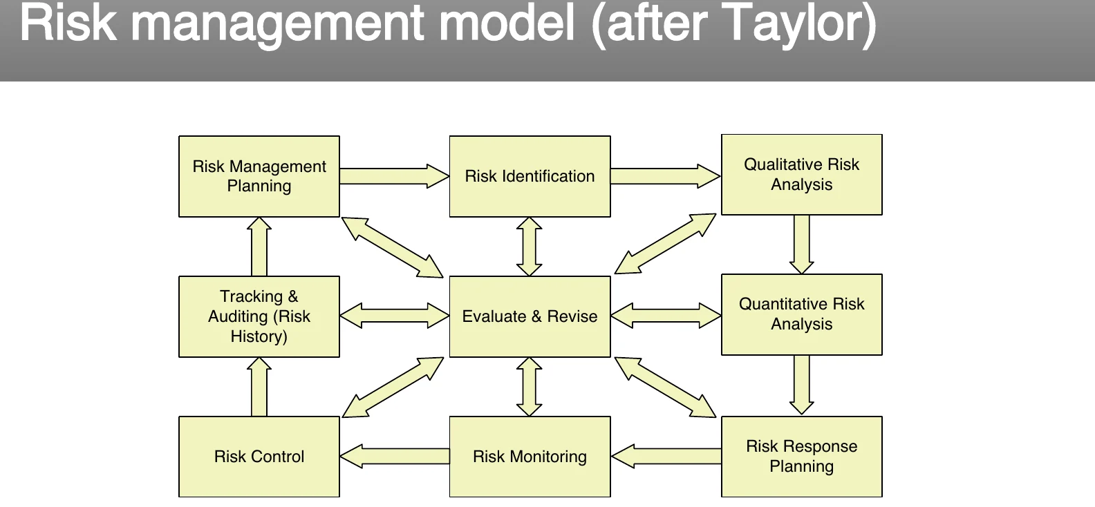 A risk management model (after Taylor).