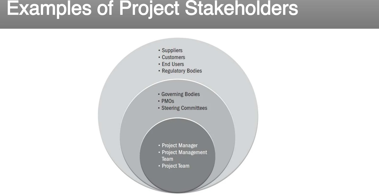 Examples of project stakeholders, from core team outward.