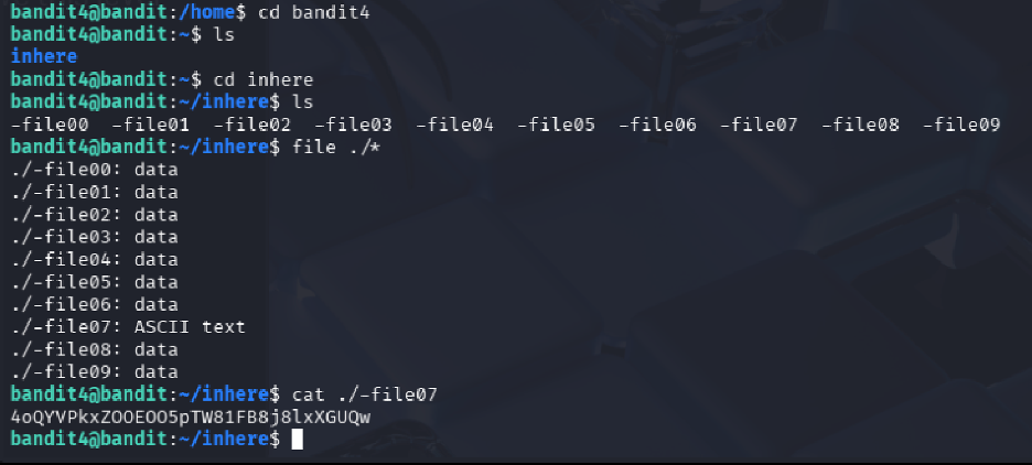المستوى 4 ← المستوى 5